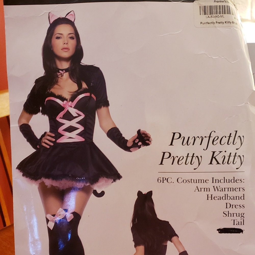 Perfect Kitty - Picture 5 of 6